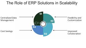 The Role of ERP in Scaling Business Operations Efficiently - Cover Image